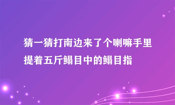 猜一猜打南边来了个喇嘛手里提着五斤鳎目中的鳎目指
