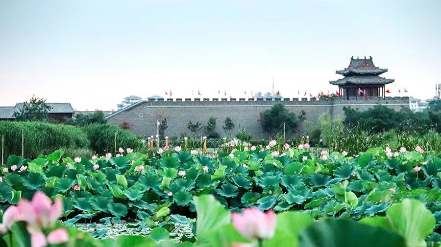 2009年12月31日在2023的农历生日在几月几？