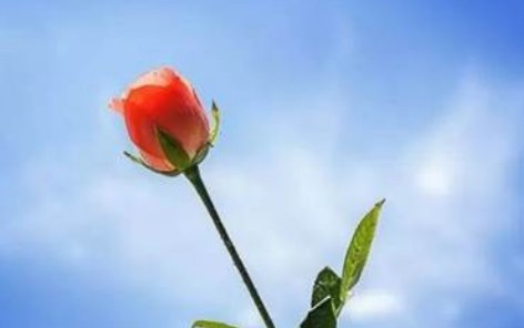 怕无归期是哪首歌的歌词？