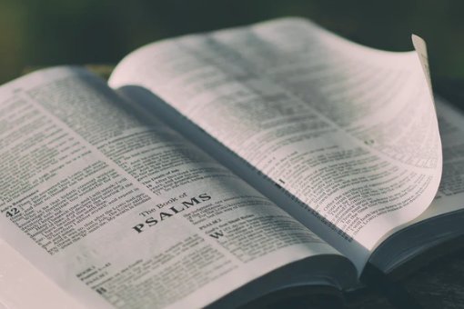 hi there是什么意思