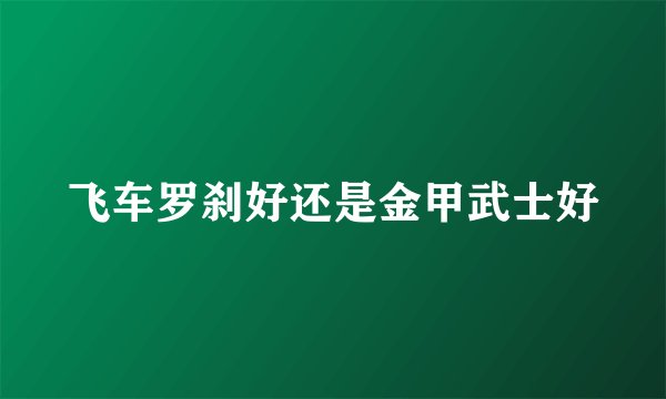 飞车罗刹好还是金甲武士好
