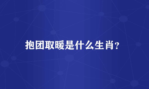 抱团取暖是什么生肖？