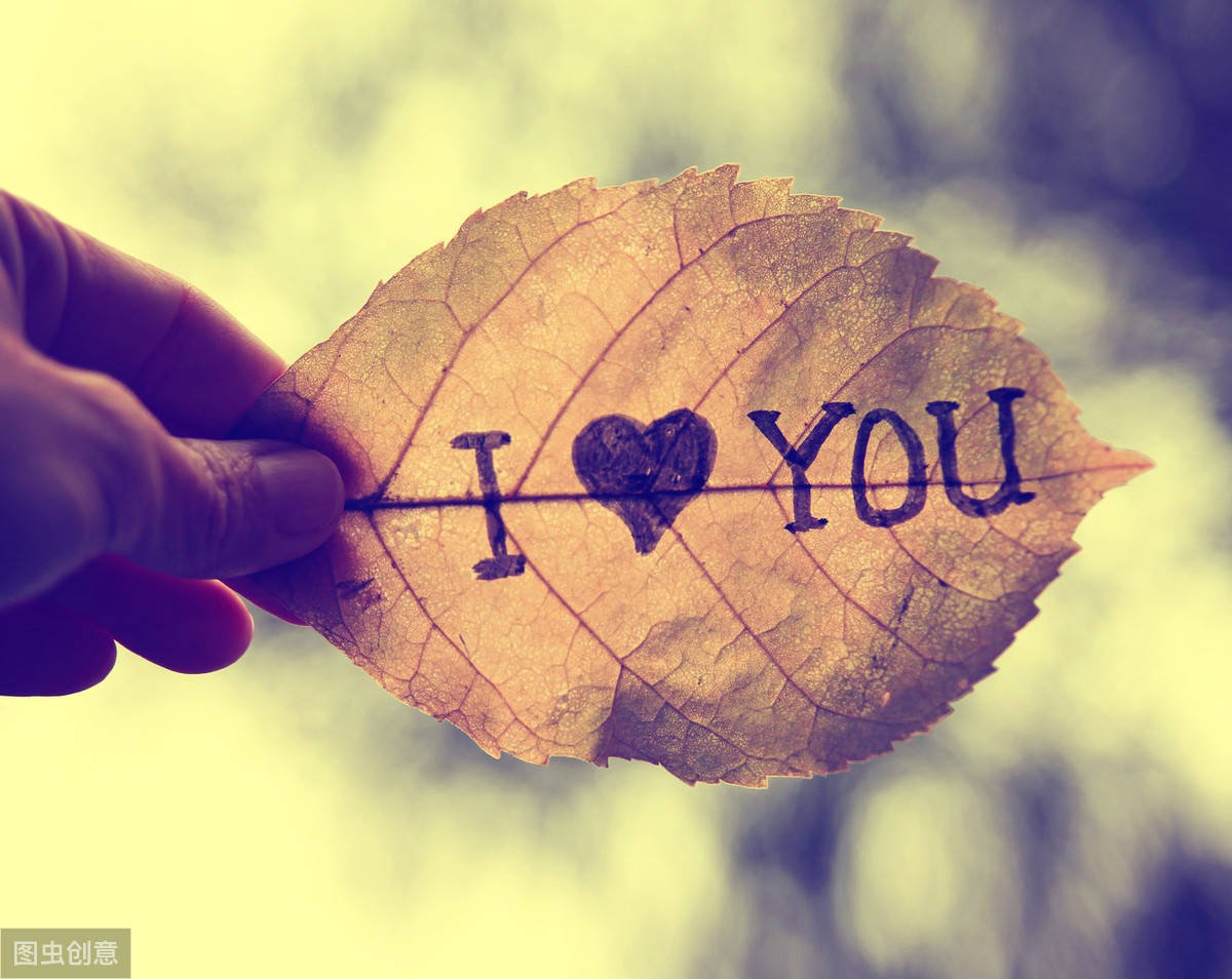 你能爱我多长时间呢?