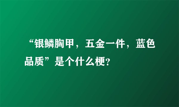 “银鳞胸甲，五金一件，蓝色品质”是个什么梗？