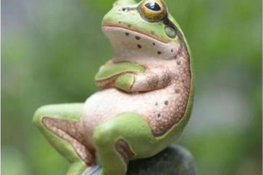 鼓着造句子简单的