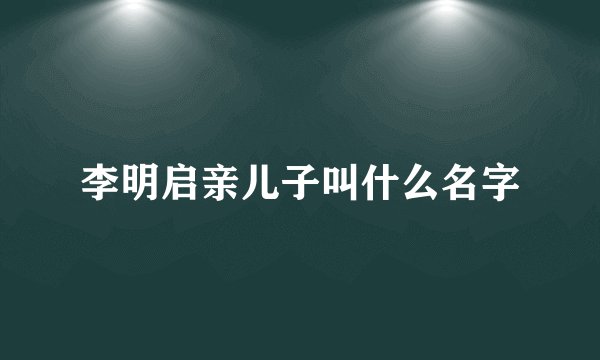 李明启亲儿子叫什么名字