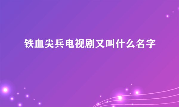 铁血尖兵电视剧又叫什么名字