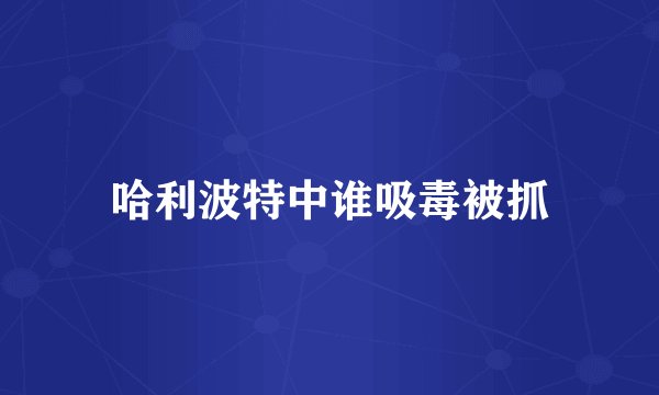 哈利波特中谁吸毒被抓