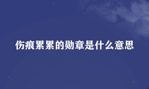 伤痕累累的勋章是什么意思