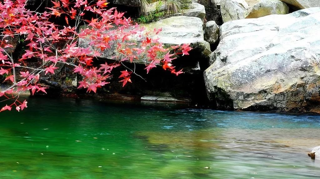 女副区长倪红旅游因事故身亡，该起事故的责任人是谁