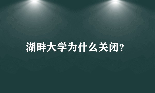 湖畔大学为什么关闭？