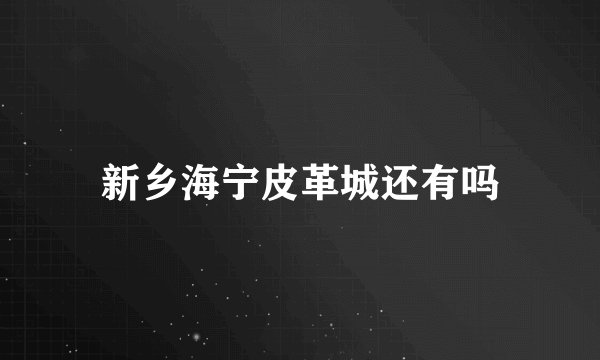 新乡海宁皮革城还有吗