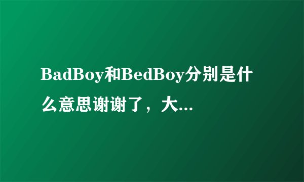 BadBoy和BedBoy分别是什么意思谢谢了，大神帮忙啊