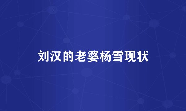 刘汉的老婆杨雪现状