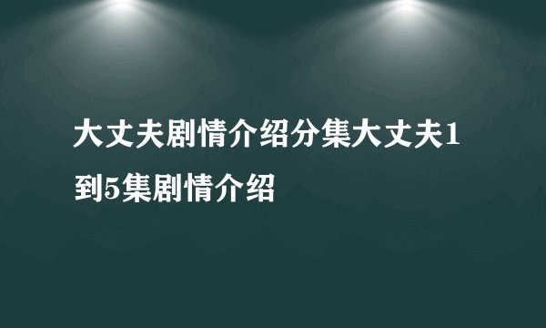 大丈夫剧情介绍分集大丈夫1到5集剧情介绍