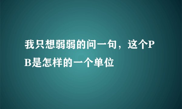 我只想弱弱的问一句，这个PB是怎样的一个单位
