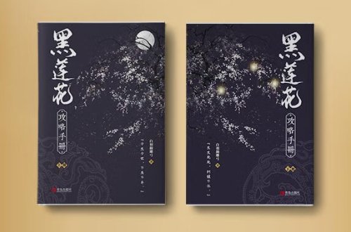 穿成已怀孕的恶毒女配推荐