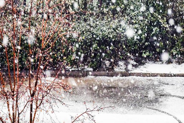 下雪的四个字成语