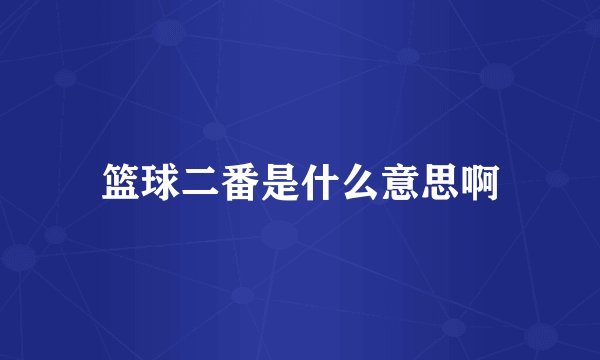 篮球二番是什么意思啊