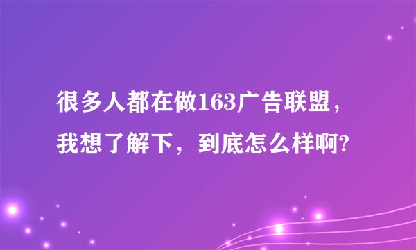 很多人都在做163广告联盟，我想了解下，到底怎么样啊?