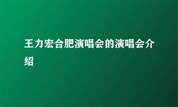 王力宏合肥演唱会的演唱会介绍