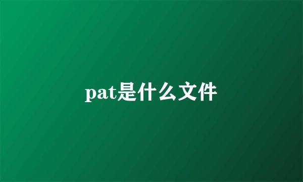 pat是什么文件