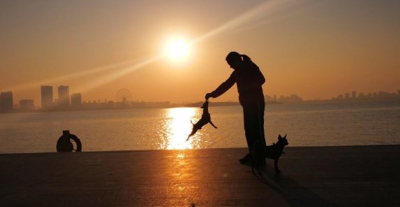 如何与人聊天，知道别人的隐私？