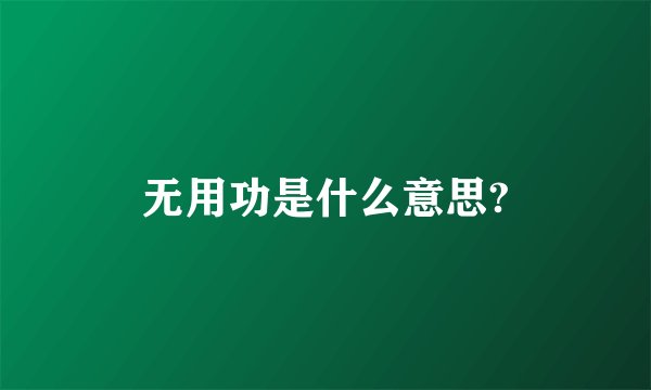 无用功是什么意思?