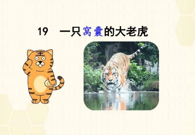 一只窝囊的大老虎一文我的心情从头到尾经历了一些什么样的变化？