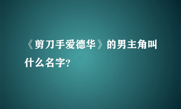 《剪刀手爱德华》的男主角叫什么名字？