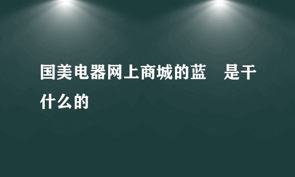 国美电器网上商城的蓝劵是干什么的