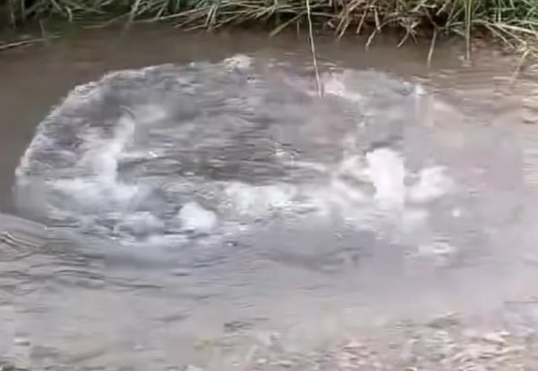 引发关注！宁夏一地突现泉眼，究竟是何原因？