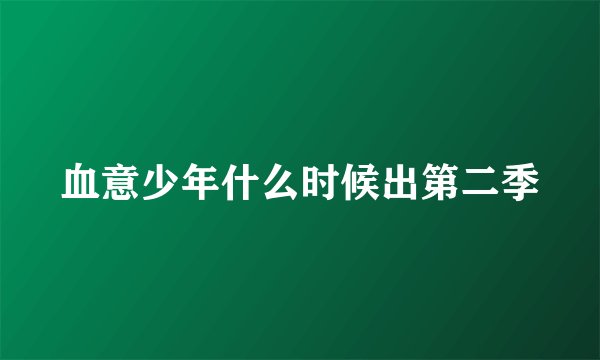 血意少年什么时候出第二季