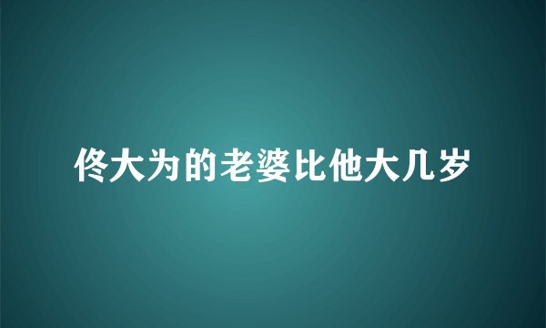 佟大为的老婆比他大几岁