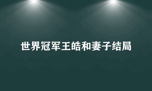 世界冠军王皓和妻子结局