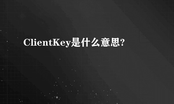 ClientKey是什么意思?