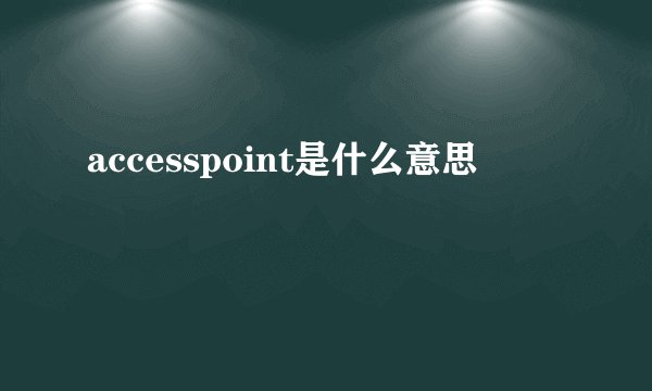 accesspoint是什么意思