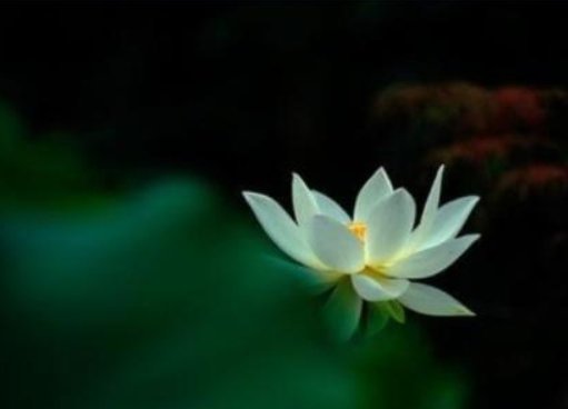 二个字的禅意昵称有哪些？