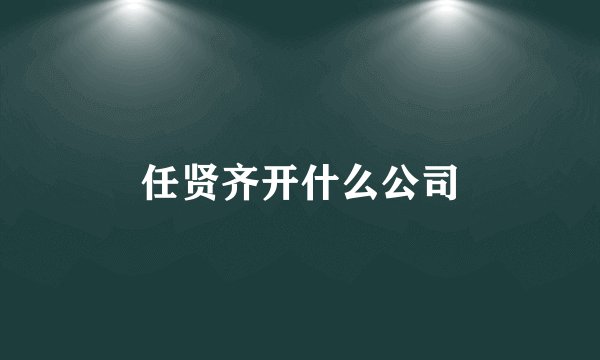 任贤齐开什么公司