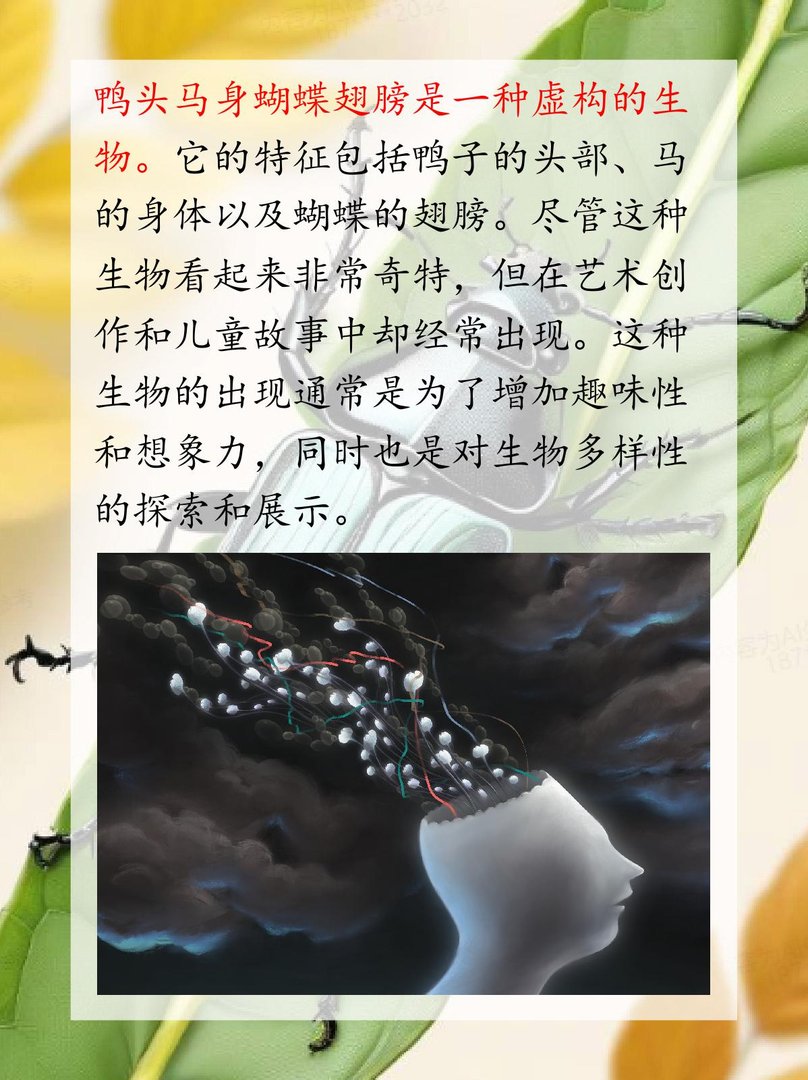 鸭头马身蝴蝶翅膀是什么