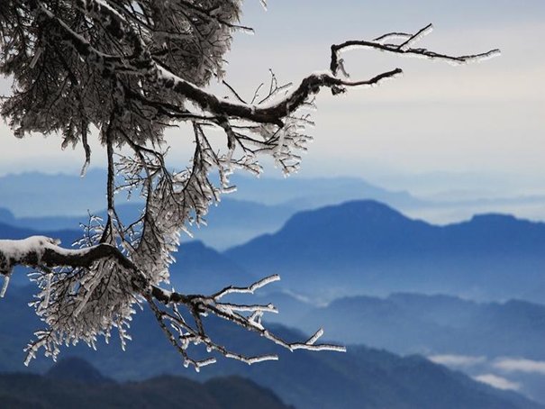 寒松赋原文及翻译注解