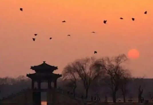 一夕什么转作霖