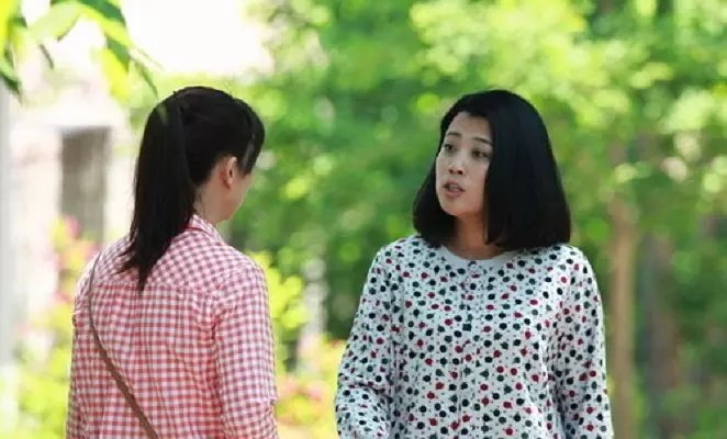 如何评价电视剧《刘家媳妇》？