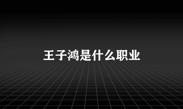 王子鸿是什么职业