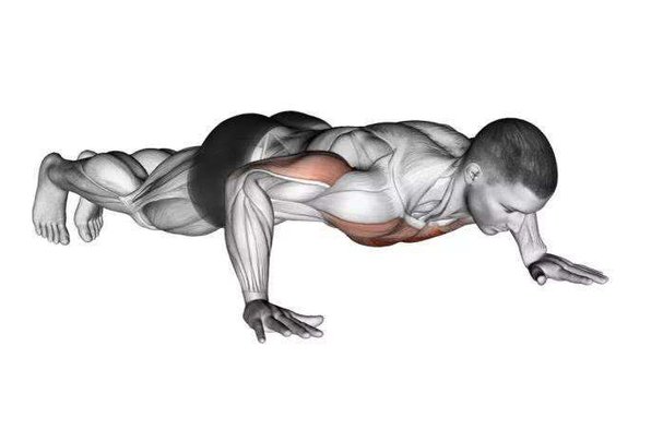 中国吉尼斯俯卧撑最高纪录