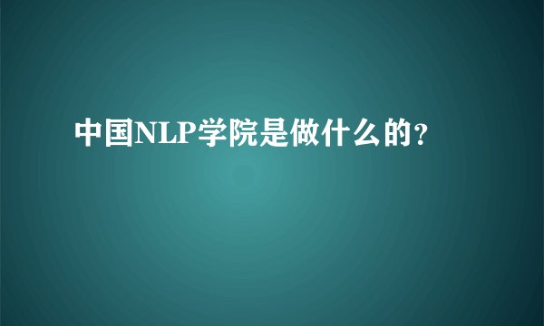 中国NLP学院是做什么的？