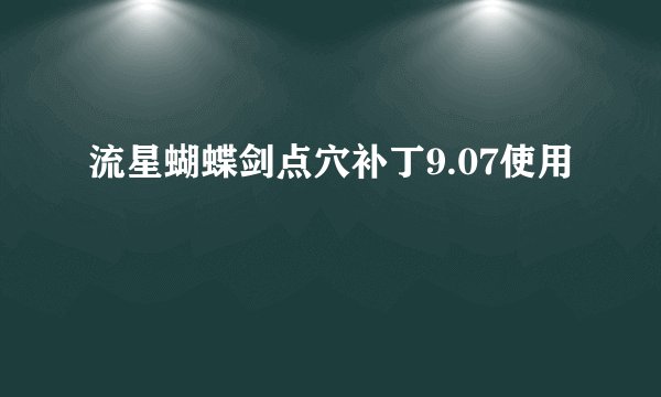 流星蝴蝶剑点穴补丁9.07使用