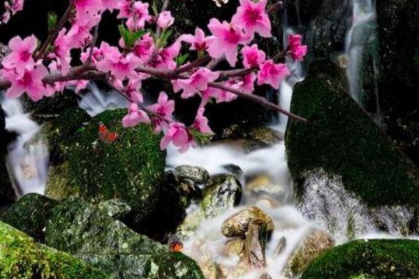 巾帼和须眉是什么意思