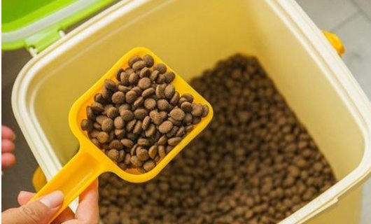 天然猫粮哪些牌子比较好？