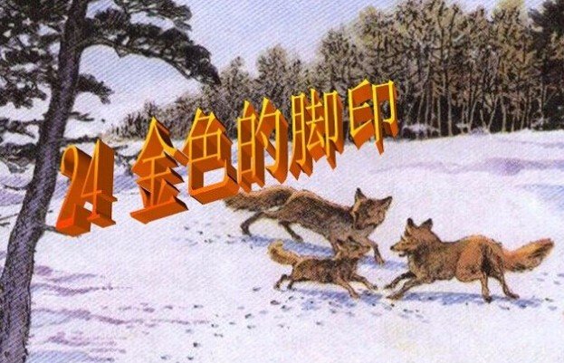 小学 语文，24课金色的脚印，主要内容，求人解。。